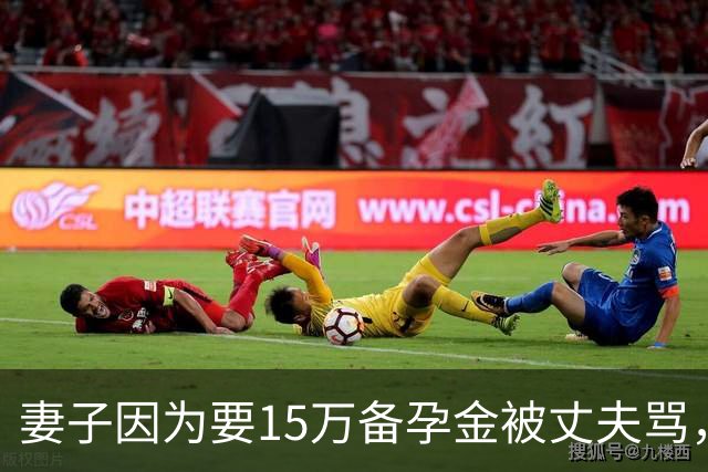 妻子因为要15万备孕金被丈夫骂,要起诉离婚,网友不解:备孕为什么要15万?