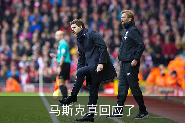 马斯克真回应了